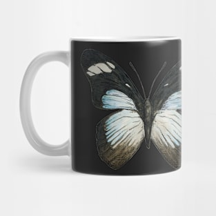 blue and black butterfly Mug